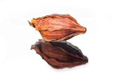 《塞尔达传说：智慧的再现》林克曾会说话 因太奇怪被取消